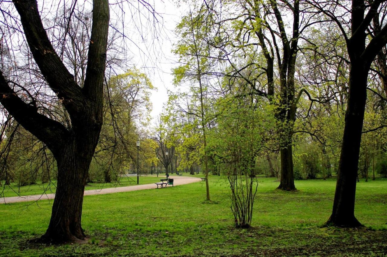 Cozy On Sierpnia Street Lodz (Lodz)